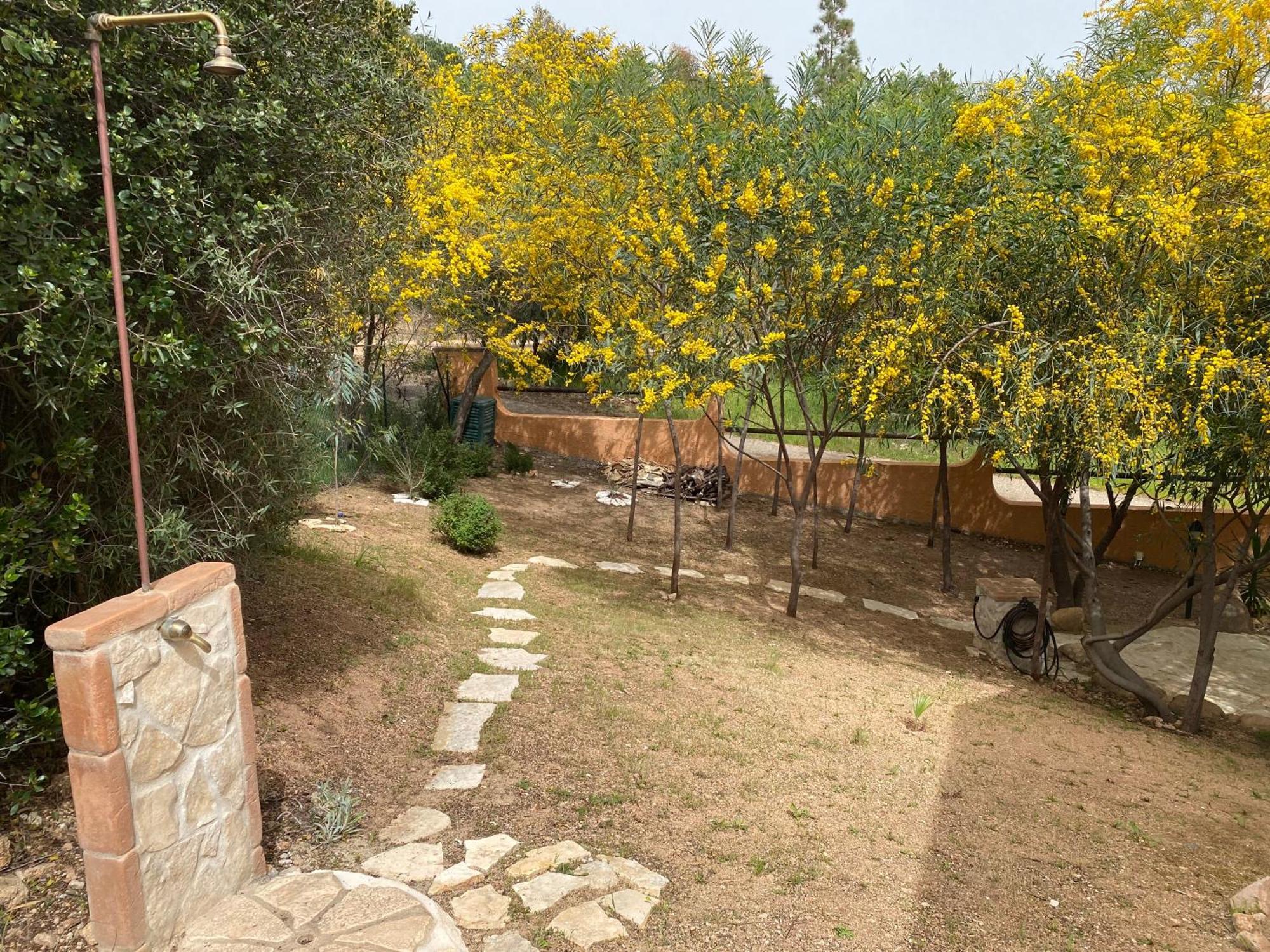 Residenza I Ginepri Domus De Maria Exterior foto